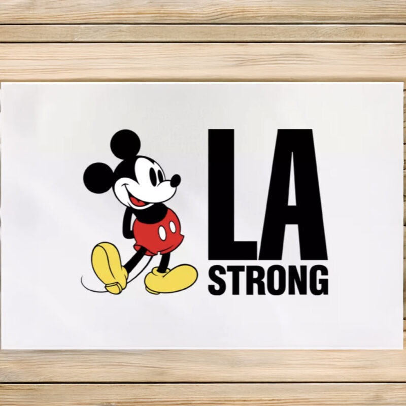 Disney LA Strong Car Magnets and Stickers