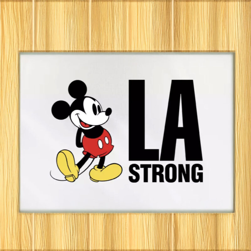 Disney LA Strong Car Magnets and Stickers
